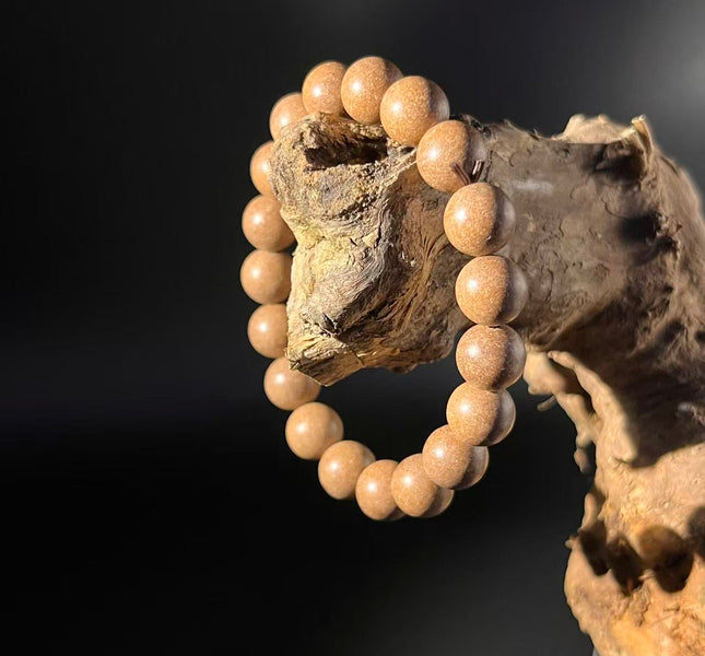 Redynasty Dragon Camphor Clear Mind Bracelet